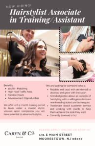 Stylist Assistant Flyer